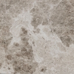 Picture of Siver Leopard