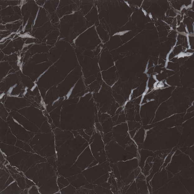 Picture of Olive Avangarde