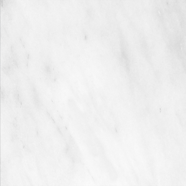 Picture of Royal White