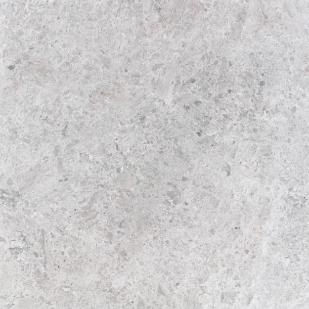 Picture of Tundra Light